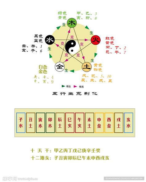 天干地支五行|十天干十二地支对应五行 十天干十二地支五行阴阳属性